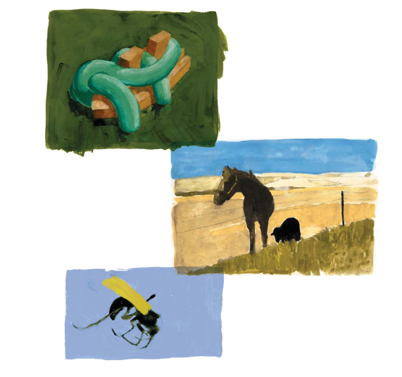 Traditional media pieces